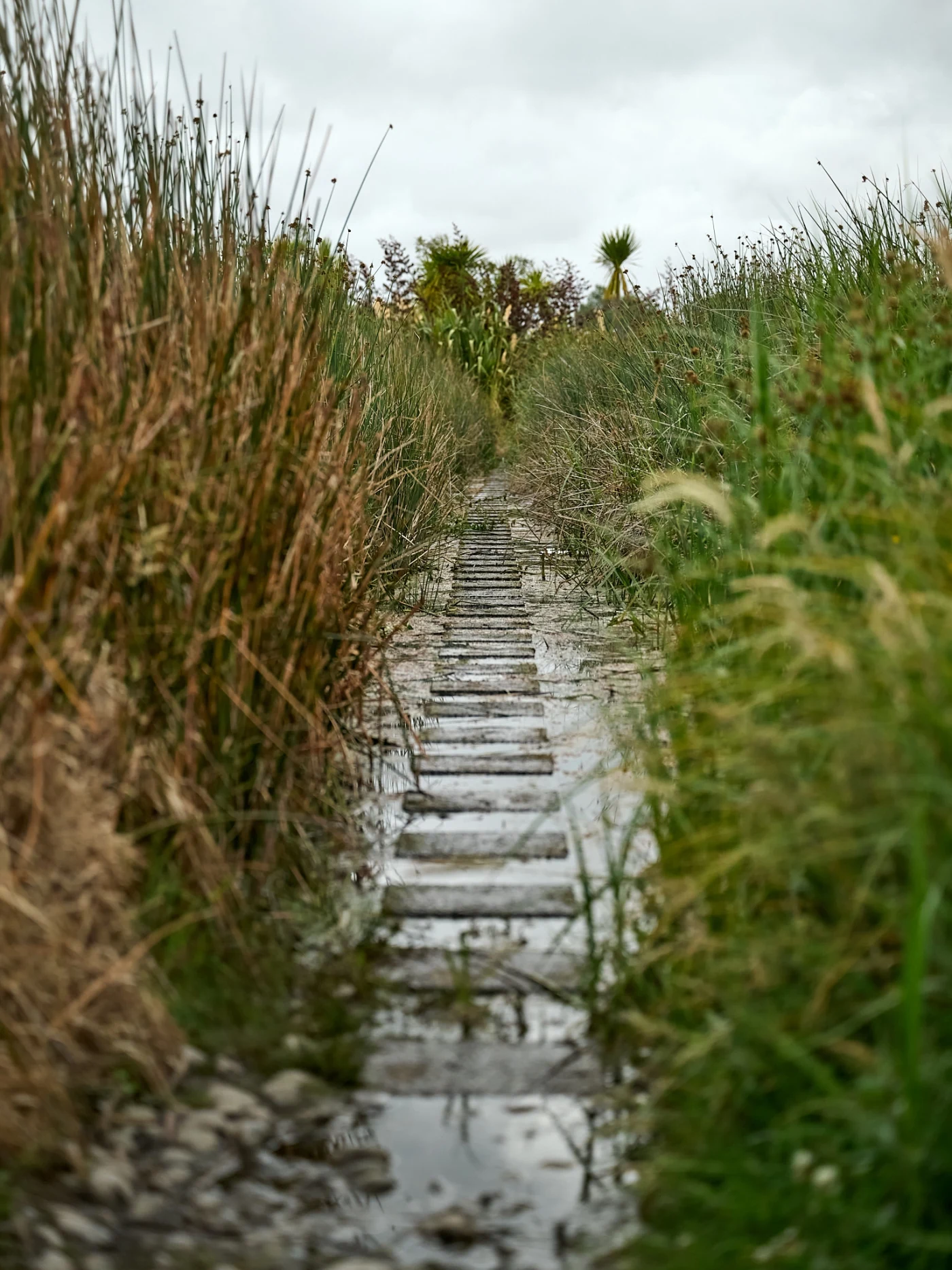 Travel